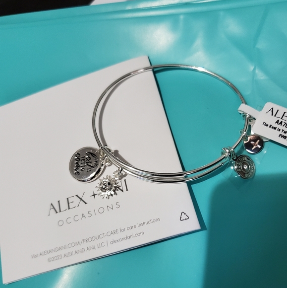 Alex and Ani the Best Is Yet to Come Duo Bracelet (Shiny Silver) Bracelet - Picture 3 of 3